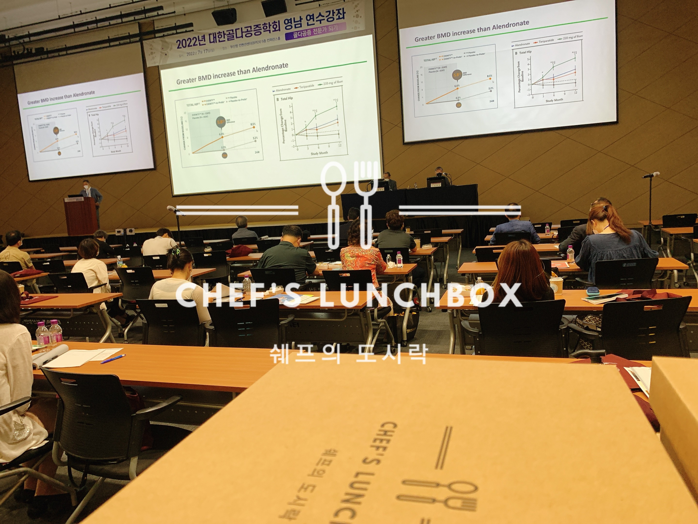 대한골다골증학회 영남 연수강좌